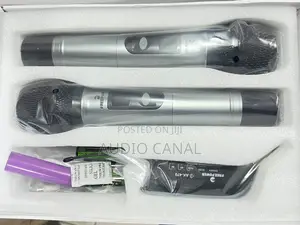 USA Free Power Double Wireless Microphone