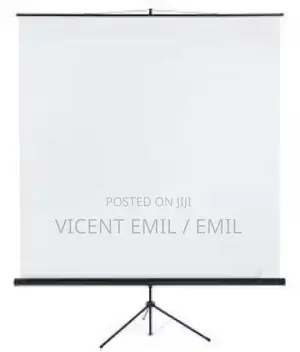 Tripod Projector Screen 240 X 240 Cm