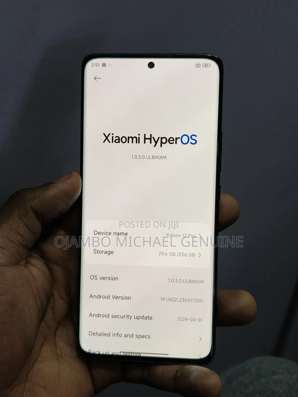 Xiaomi 12 Pro 256 GB Gray