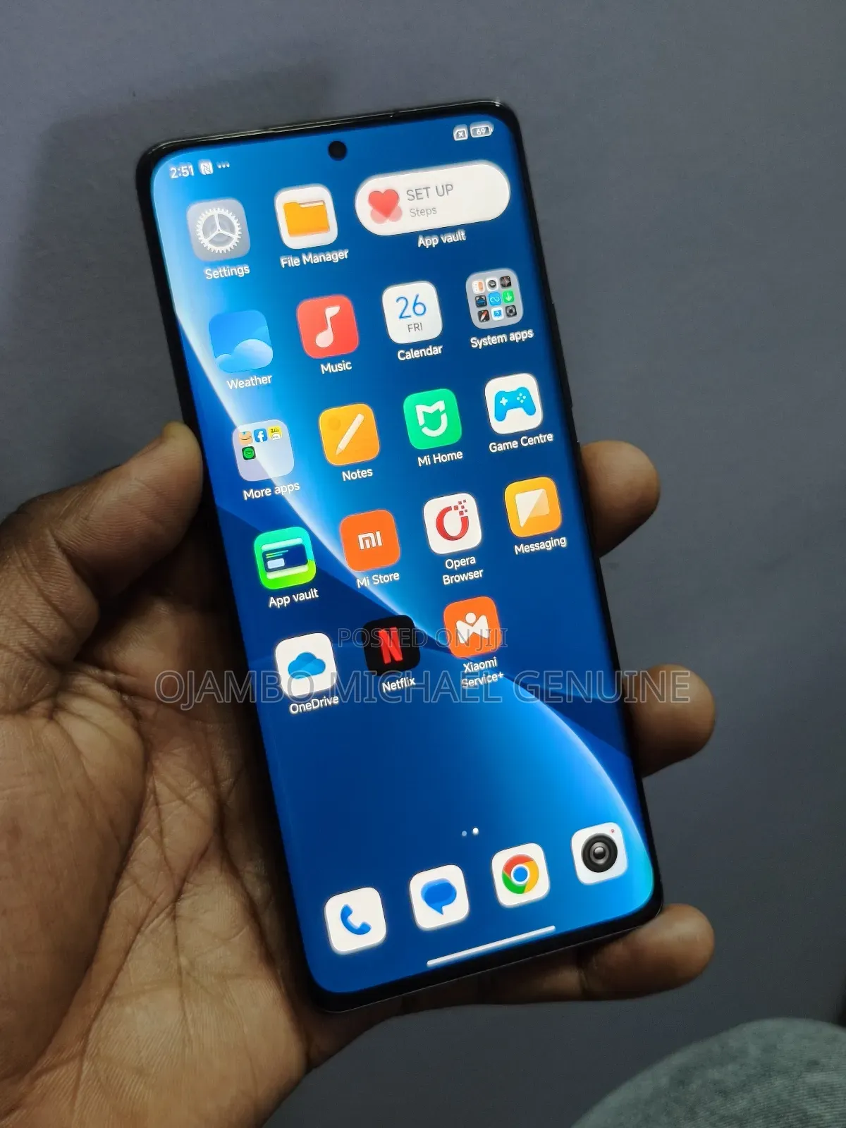 Xiaomi 12 Pro 256 GB Gray