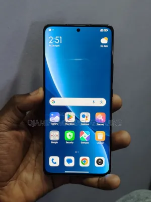 Xiaomi 12 Pro 256 GB Gray
