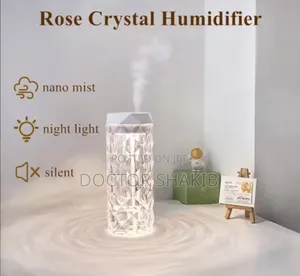 New Dual Intelligent Aromatherapy Humidifier