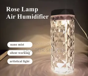 New Dual Intelligent Aromatherapy Humidifier