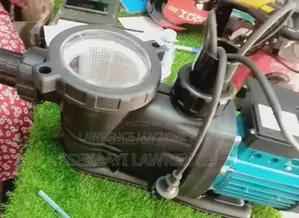 Swimming Pool Water Pump 20m