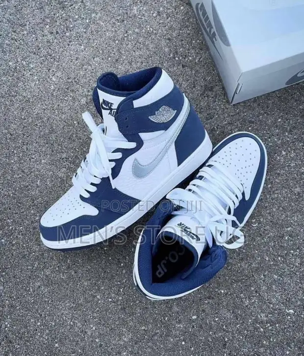 Nike Air Jordan Long Neck High Top in Central Division Shoes