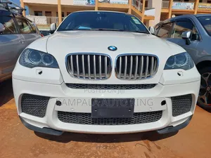 Photo - BMW X6 2010 White