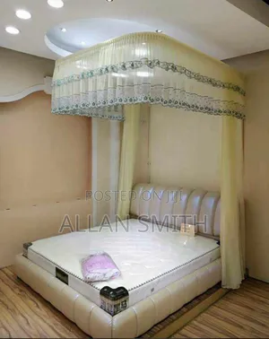 Classy Wall Mounted Mosquito Nets