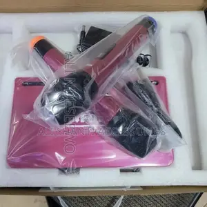 A Pair Winford Professional Wireless Microphone