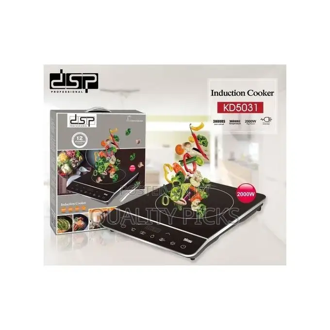 DSP Single Burner Electric Induction Cooker Hot Plate-Black