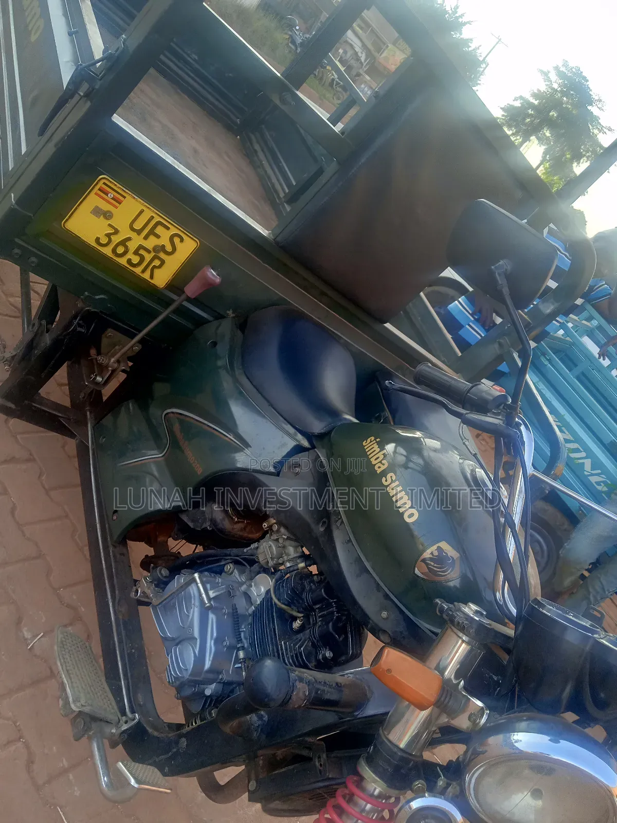 Tricycle 2023 Green