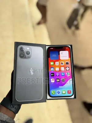 Apple iPhone 13 Pro Max 256 GB Black