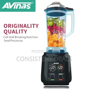 Avinas Electric 3.0L Commercial Blender
