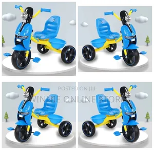 Kids Musical Tricycle