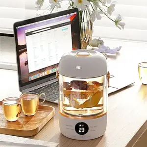 Electric Kettle 0.5L Multifunction Electric Hot
Water