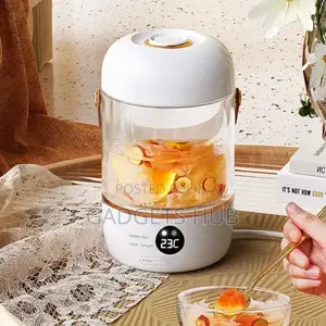 Electric Kettle 0.5L Multifunction Electric Hot
Water
