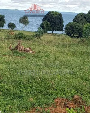 Prime Plots for Sale at Garuga Land Estate Near Pearl Marina