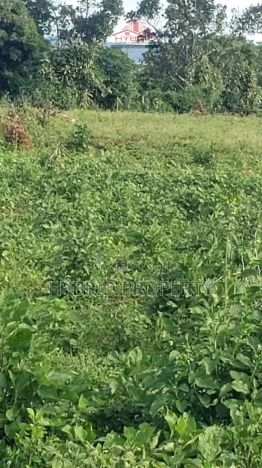 Prime Plots for Sale at Garuga Land Estate Near Pearl Marina