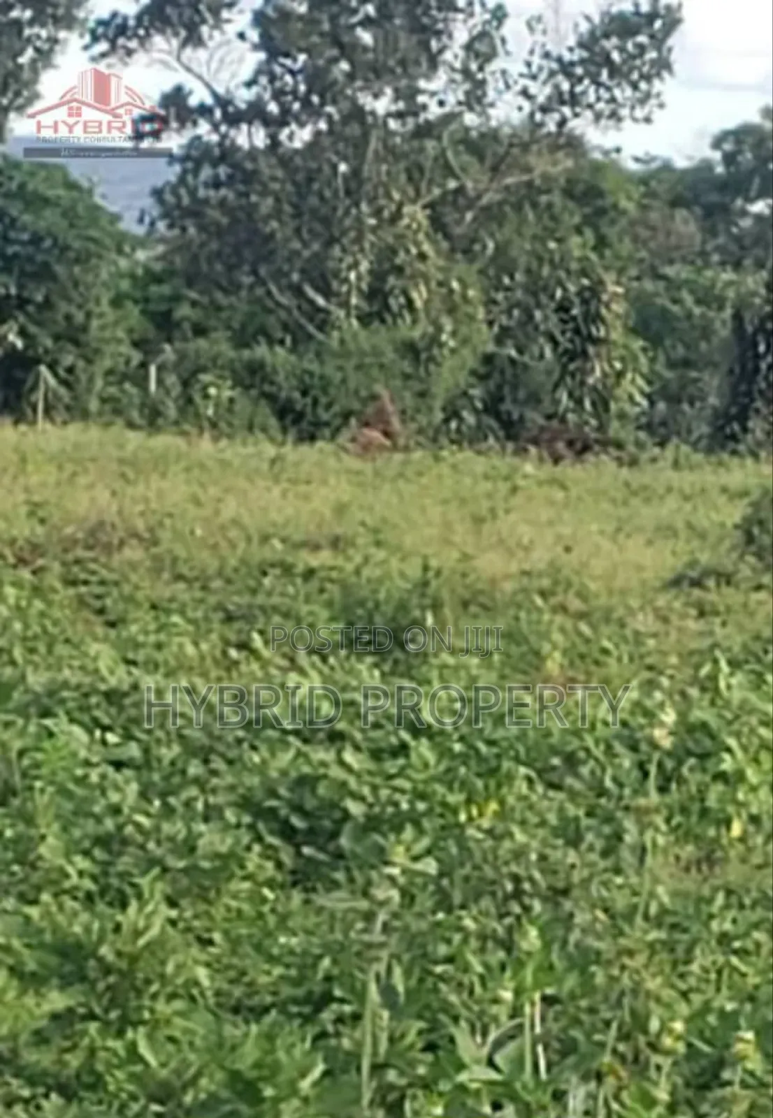 Prime Plots for Sale at Garuga Land Estate Near Pearl Marina