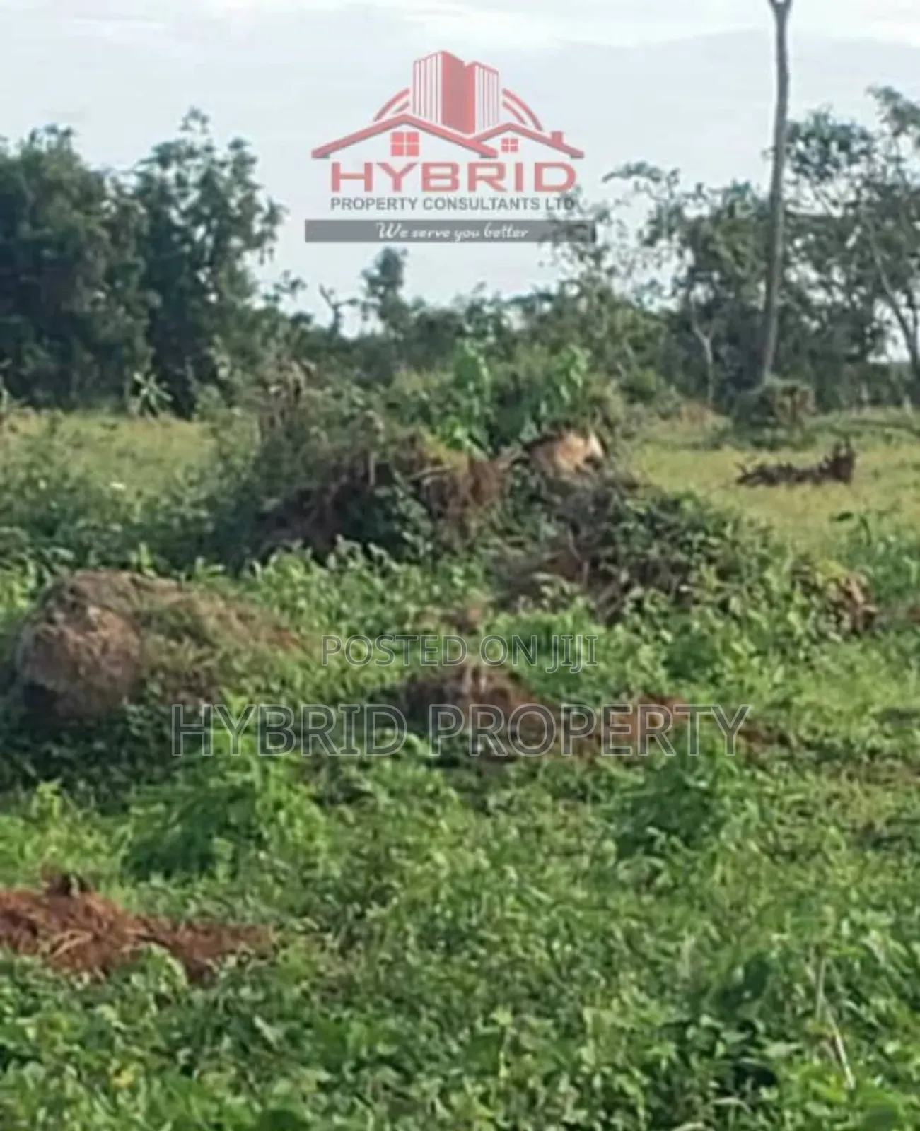 Prime Plots for Sale at Garuga Land Estate Near Pearl Marina