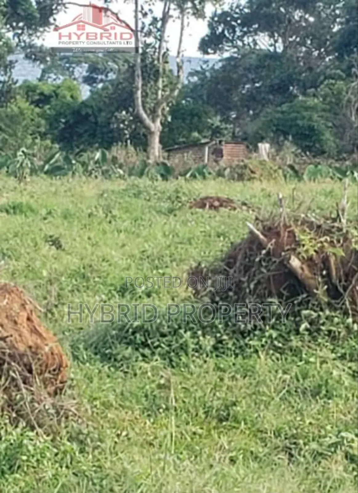 Prime Plots for Sale at Garuga Land Estate Near Pearl Marina
