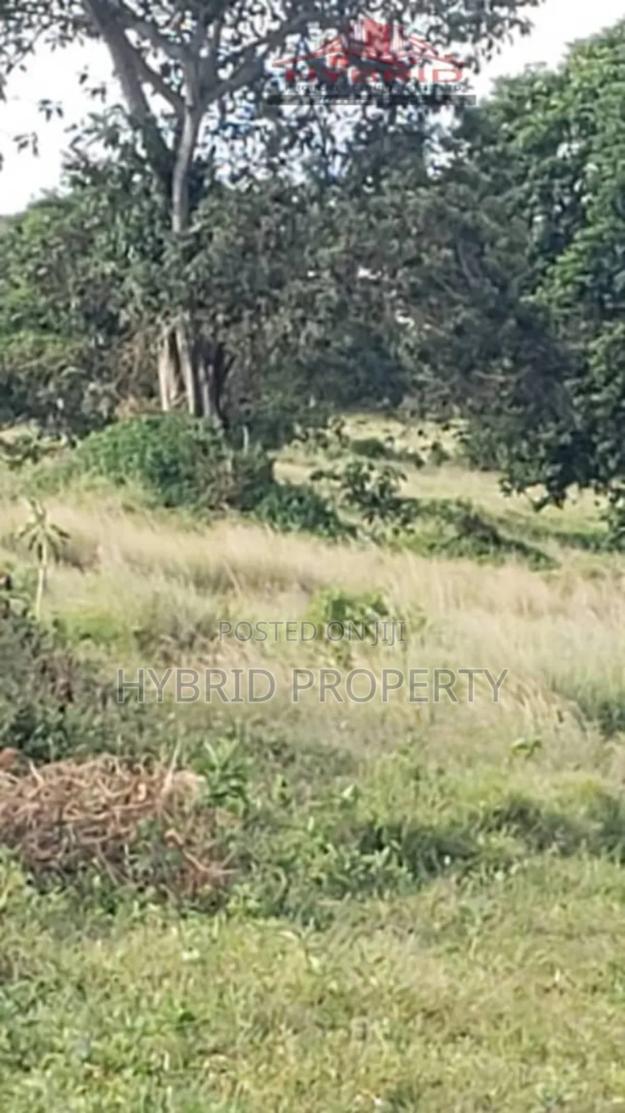 Prime Plots for Sale at Garuga Land Estate Near Pearl Marina