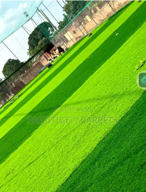 Artificial Grass Carpet