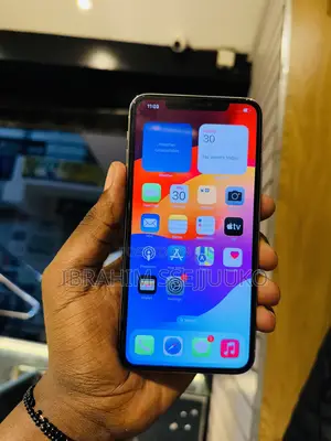 Apple iPhone 11 Pro Max 256 GB White
