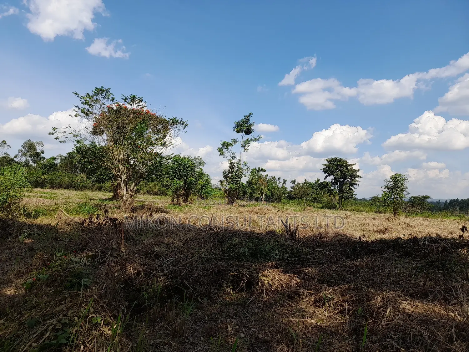40 Acres of Fertile Land on Sale in Nakaseke District