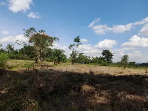 40 Acres of Fertile Land on Sale in Nakaseke District