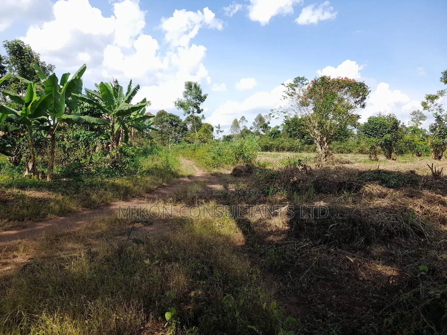 40 Acres of Fertile Land on Sale in Nakaseke District