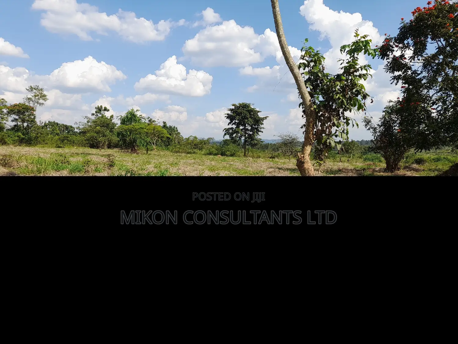 40 Acres of Fertile Land on Sale in Nakaseke District