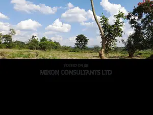 40 Acres of Fertile Land on Sale in Nakaseke District