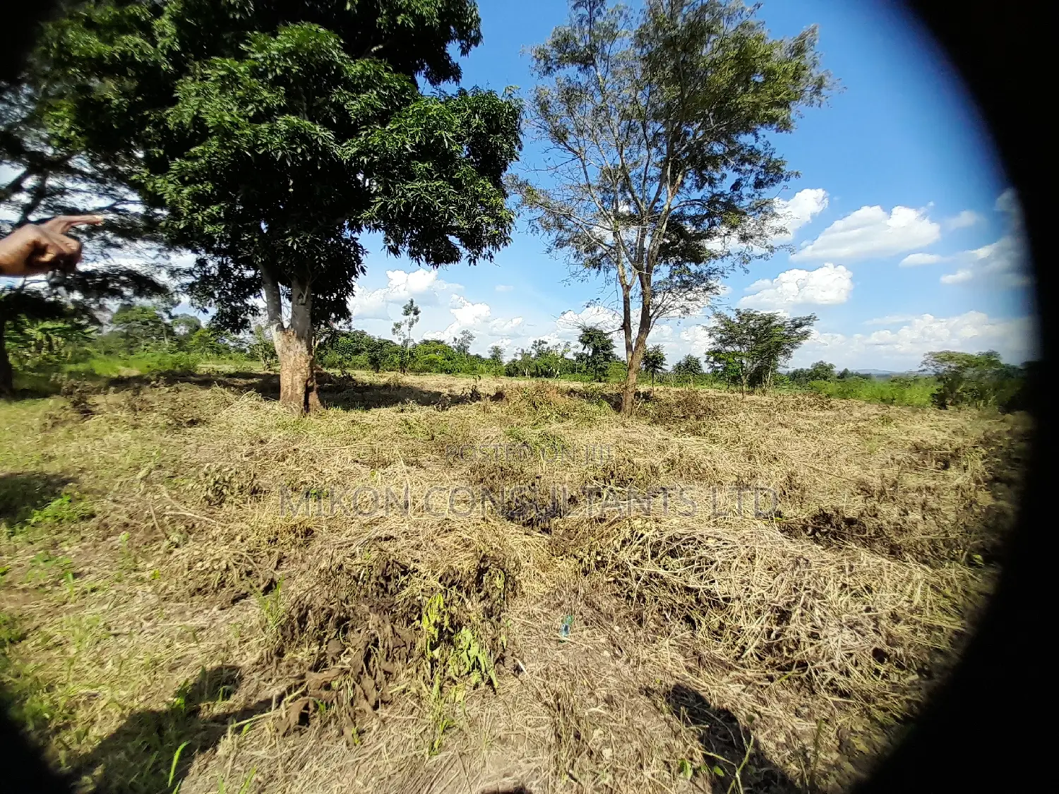 40 Acres of Fertile Land on Sale in Nakaseke District