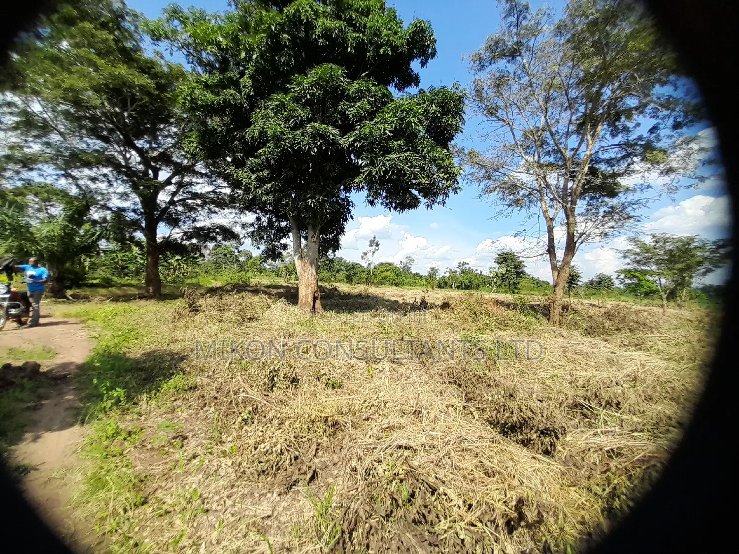 40 Acres of Fertile Land on Sale in Nakaseke District