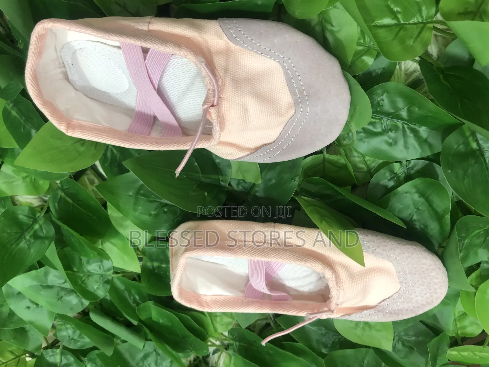 Ballet Shoes