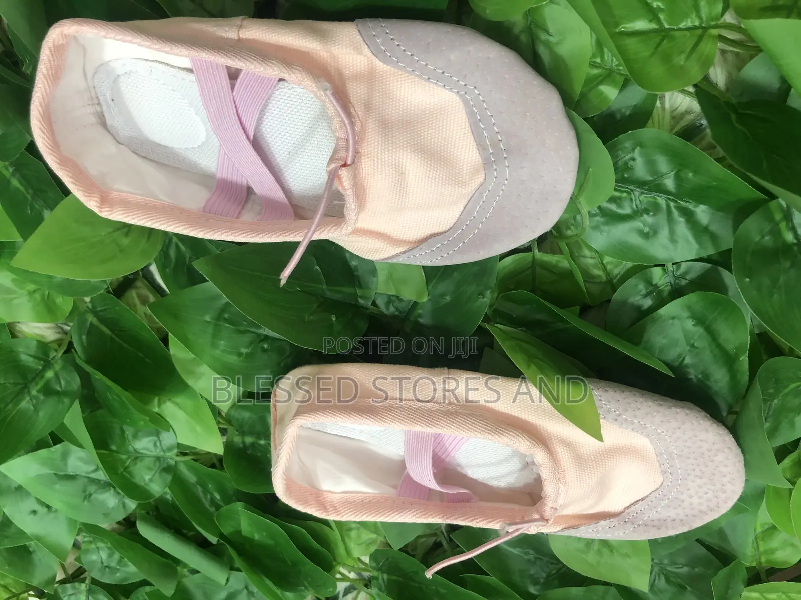 Ballet Shoes