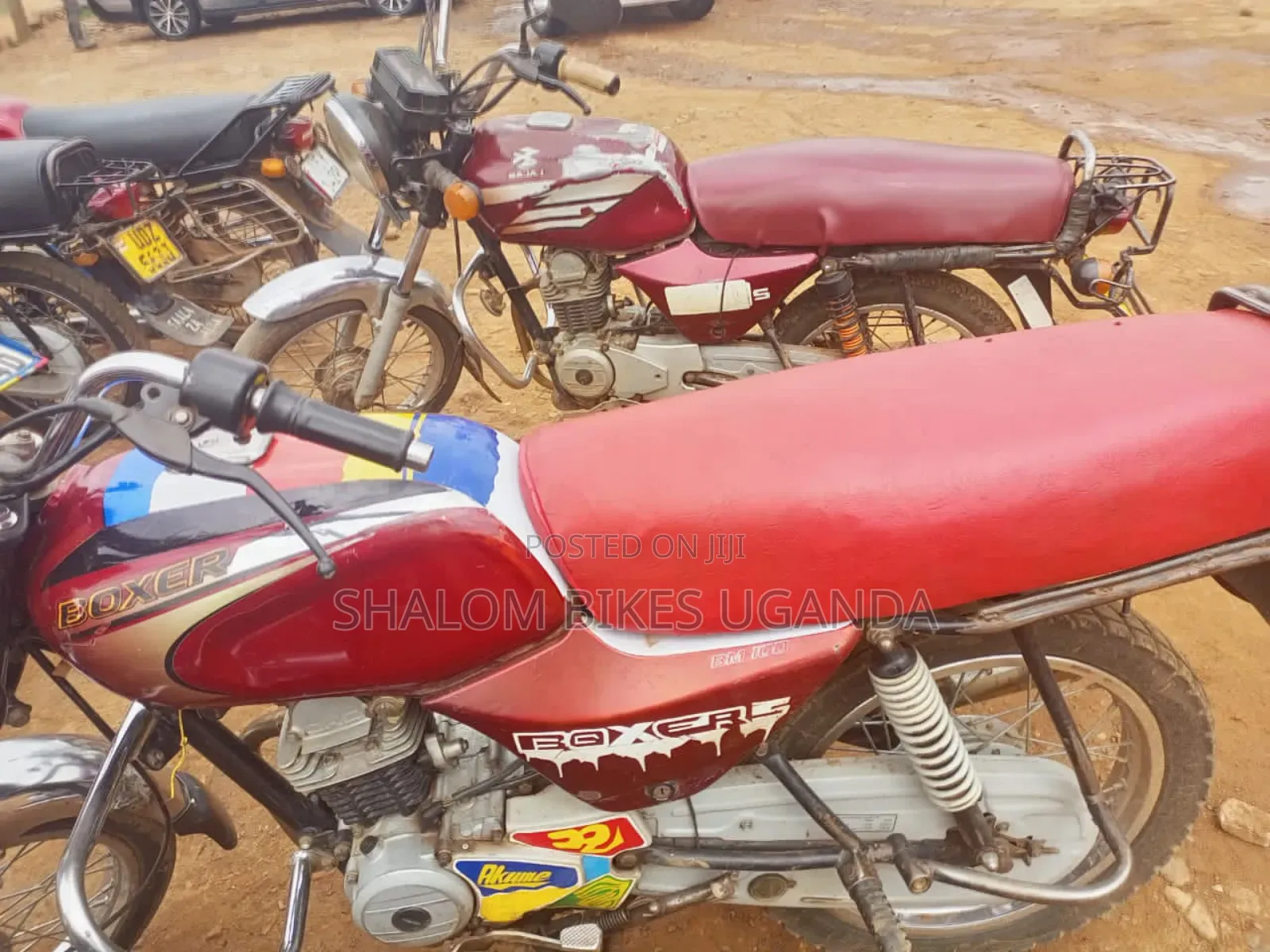 Bajaj Boxer 2022 Red