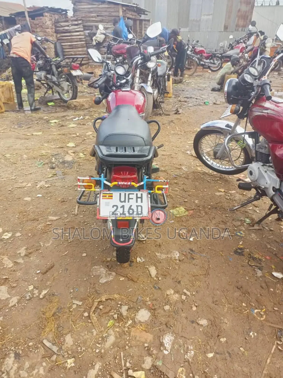 TVS HLX 125 2023 Red
