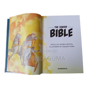 The Junior Bible for Children