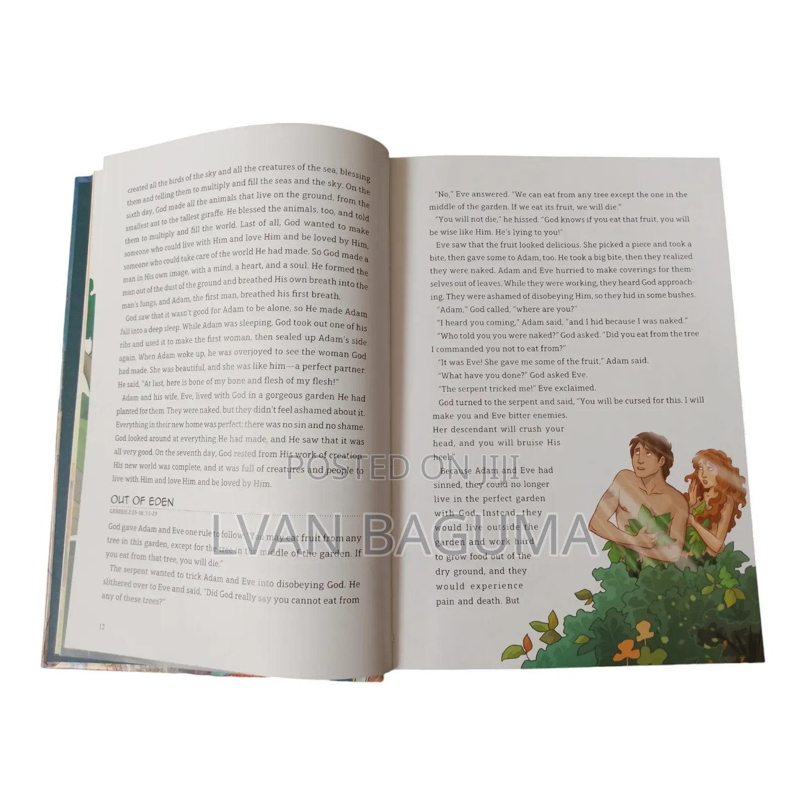 The Junior Bible for Children