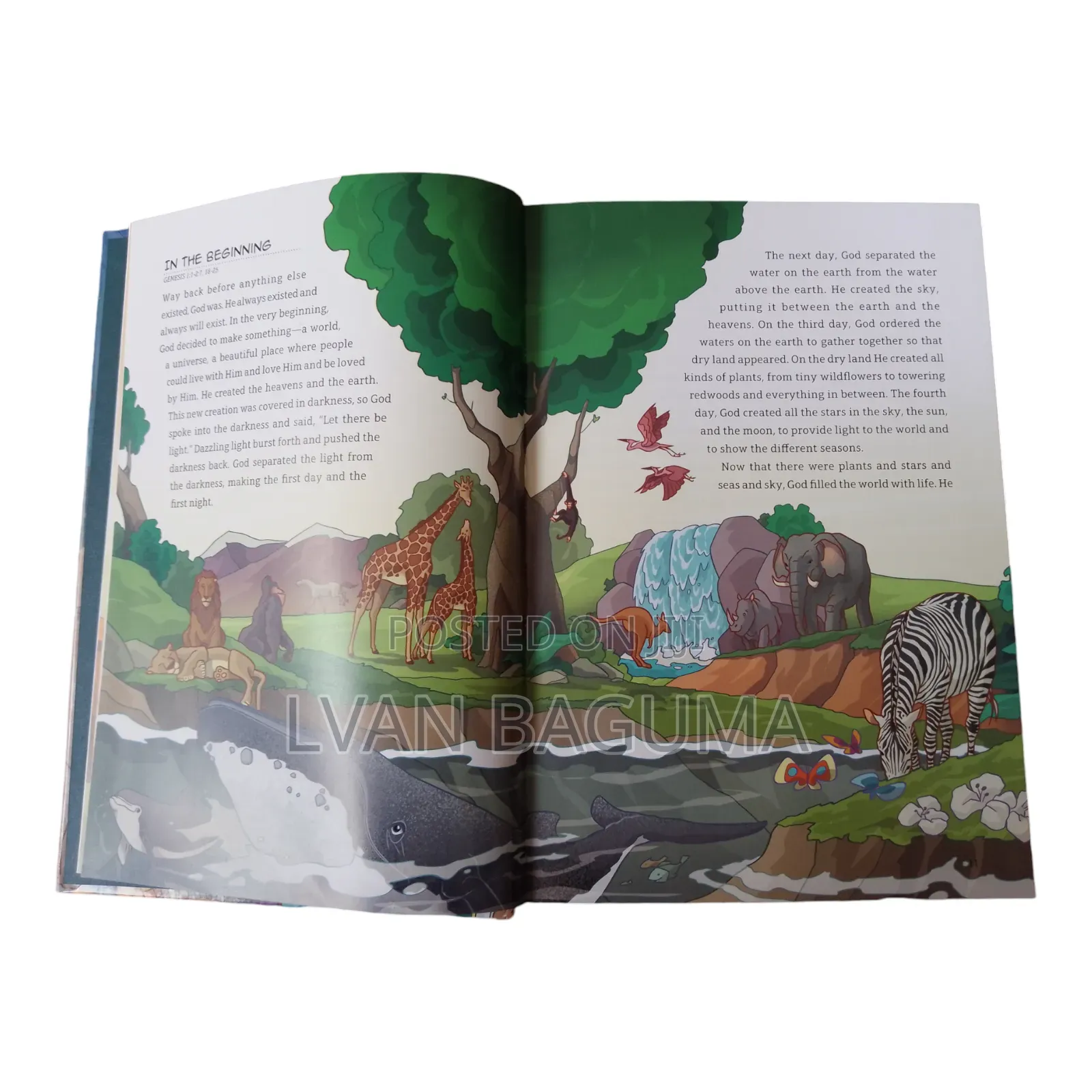 The Junior Bible for Children