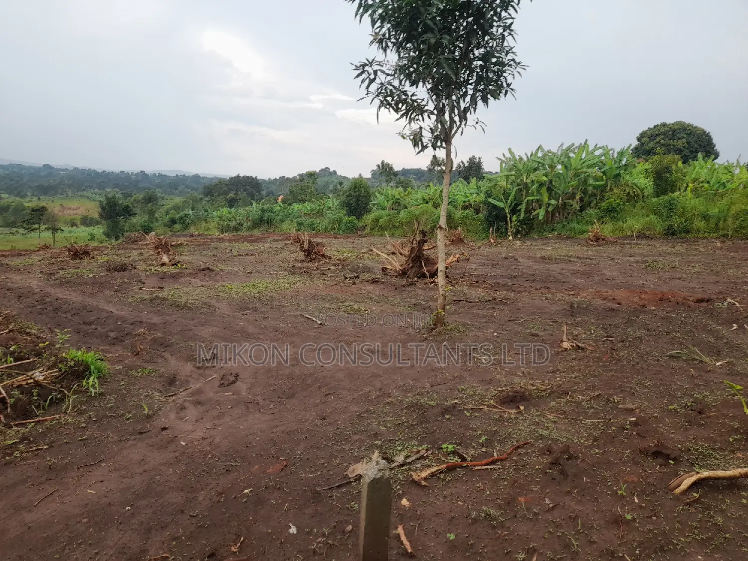 100 by 50 FTS Plot on Sale in Matuga Ssemuto Road
