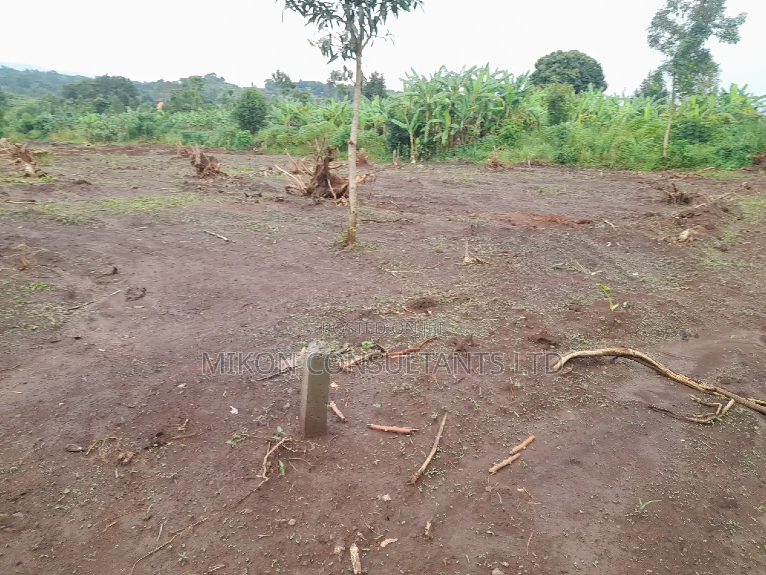 100 by 50 FTS Plot on Sale in Matuga Ssemuto Road