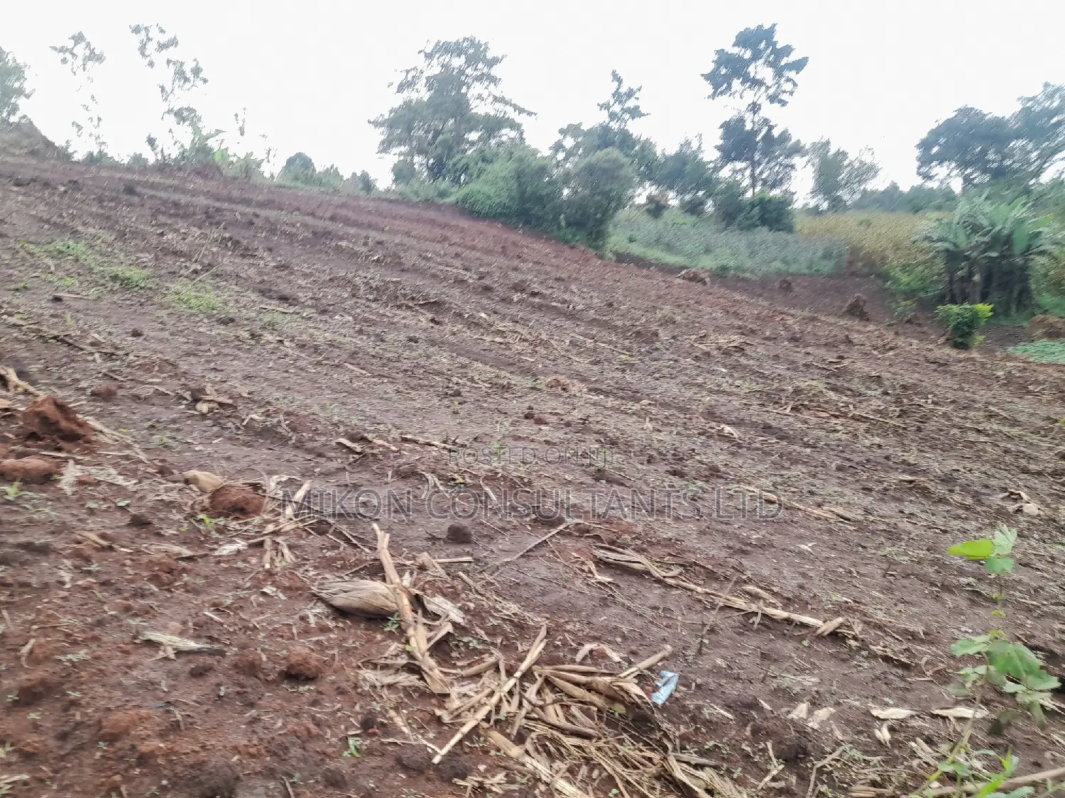 100 by 50 FTS Plot on Sale in Matuga Ssemuto Road