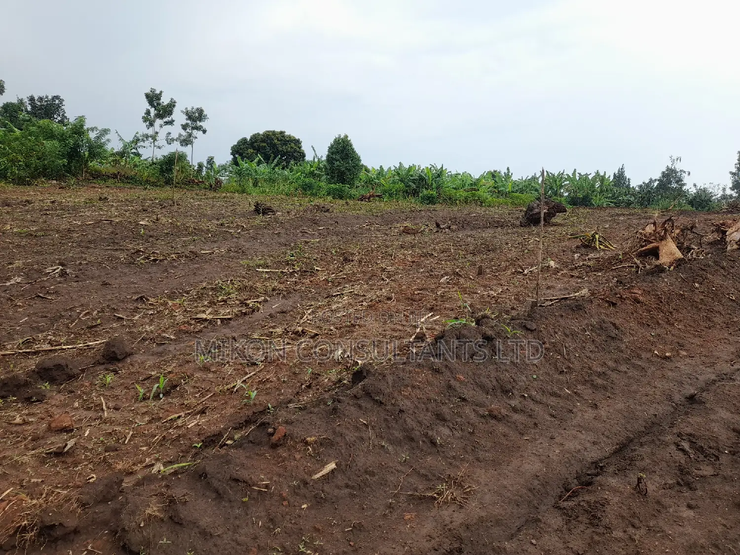 100 by 50 FTS Plot on Sale in Matuga Ssemuto Road