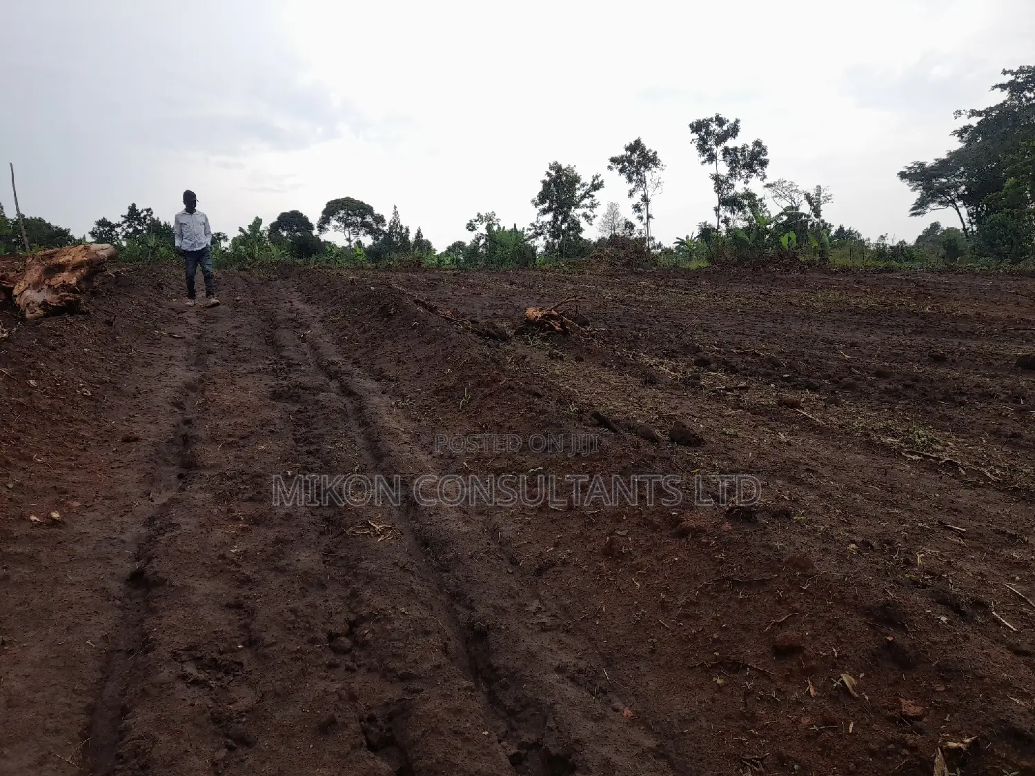 100 by 50 FTS Plot on Sale in Matuga Ssemuto Road