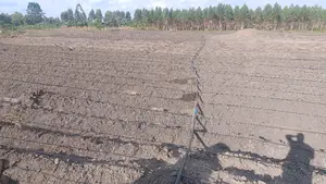 Irrigation and Plumbing Services