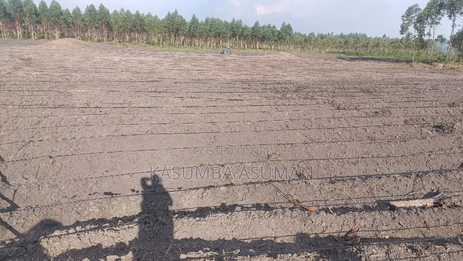 Irrigation and Plumbing Services