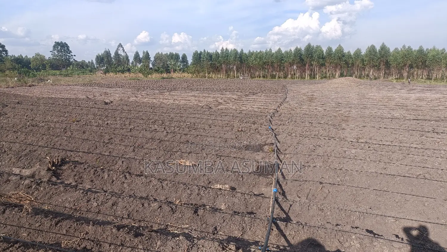 Irrigation and Plumbing Services