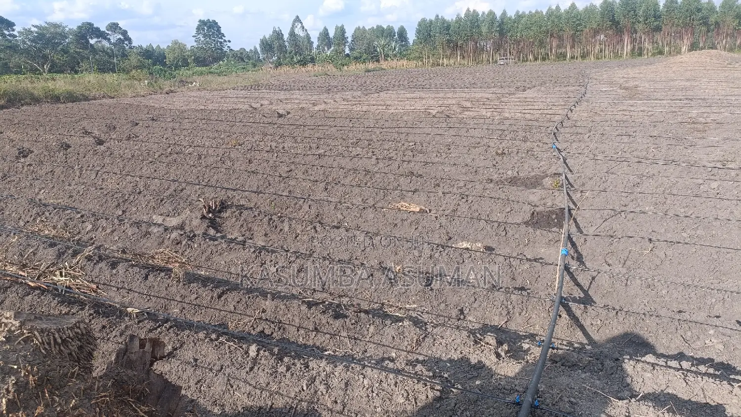 Irrigation and Plumbing Services